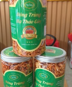 nấm đông trùng hạ thảo huy cương sấy khô thăng hoa