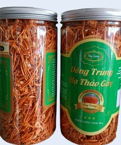 nấm đông trùng hạ thảo huy cương sấy khô thăng hoa