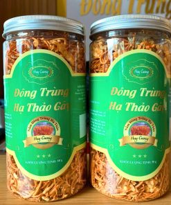 nấm đông trùng hạ thảo huy cương sấy khô thăng hoa
