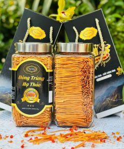 Đông trùng hạ thảo