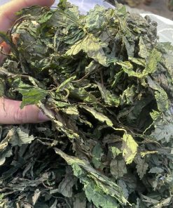 Dược liệu Tây Bắc