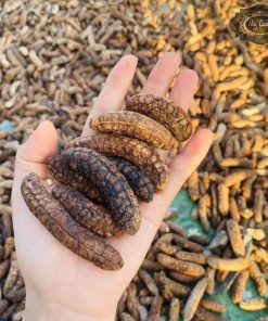 Chuối hột rừng chín khô nguyên quả ngâm rượu loại 1 thơm ngọt (500g, 1kg), chuối hạt rừng Tây Bắc