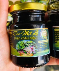 Cao cây một lá (trân châu diệp) giúp thải độc, bổ phổi, trị ho, hỗ trợ tiêu hoá, bồi bổ cơ thể