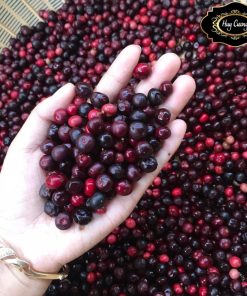 Nho rừng Tây Bắc ngâm rượu (1kg). Nho rừng thân gỗ tươi làm sạch, ủ đường phèn