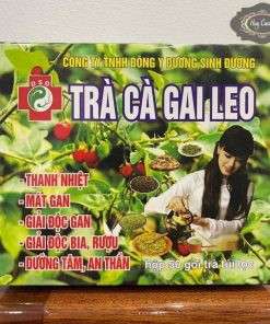 Trà cà gai leo túi lọc chính hiệu Đông Y Dưỡng Sinh Đường (hộp 50 túi lọc) giúp thanh nhiệt, mát gan, dưỡng tâm an thần