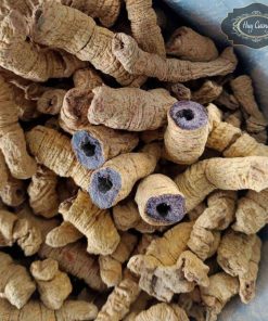 Củ ba kích tím rừng khô rút lõi loại to size đại sấy từ củ rễ ba kích tươi Quảng Ninh ngâm rượu giúp bổ thận tráng dương