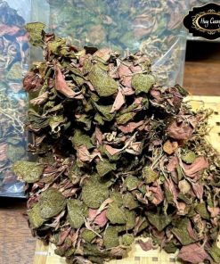 Thảo dược quý Lan kim tuyến đỏ khô rừng tự nhiên Tây Bắc giúp tăng cường chức năng gan, thanh nhiệt giải độc