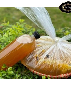 Mật ong khoái rừng tự nhiên Tây Bắc cam kết nguyên chất 100%. Đặc sản mật ong rừng nguyên tổ