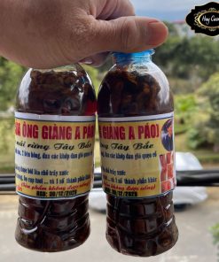 Rượu thuốc xoa bóp bọ cạp Sapa gia truyền của ông Giàng A Páo, Dầu xoa bóp dùng cho đau nhức xương khớp, đau lưng