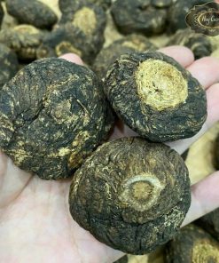 Sâm Maca Peru đen, khô loại thượng hạng, dượᴄ liệu quý củ sâm macca peru, sâm ma ca pê ru hữu cơ từ thiên nhiên