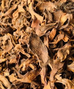 Cốt toái bổ, tắc kè đá khô rừng loại 1 (vàng, dẹt) từ tắc kè đá tươi giúp bổ thận, mạnh gân xương, hoạt huyết và tán ứ