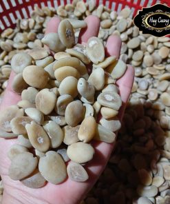 Hạt sang, hạt sành trắng rừng Tây Bắc cạo vỏ sẵn. Hạt sang chữa đau dạ dày đại tràng của người H. Mông