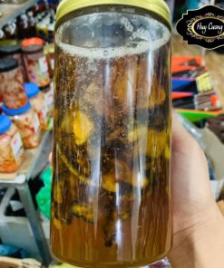 Củ tam thất bắc tươi ngâm mật ong rừng tự nhiên Tây Bắc nguyên chất (ong khoái) tăng cường miễn dịch phòng chống ung thư