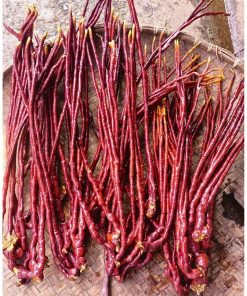 Nấm Linh chi Sừng Hươu Tây Bắc thu hái rừng, phơi khô tự nhiên (500g, 1kg)