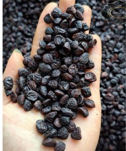 (Gói 100 hạt tặng thêm 50 hạt) Hạt dổi nếp rừng cổ thụ Tây Bắc loại 1 (nhỏ, thơm)