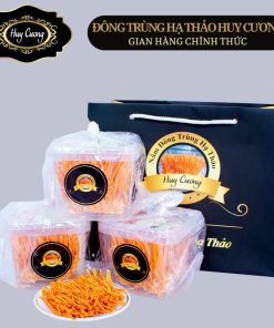 Nấm Đông trùng hạ thảo khô huy cương thượng hạng (sấy khô thăng hoa nguyên đế) (30gr)
